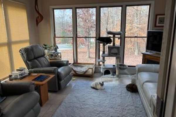 House sit in Raleigh, NC, US