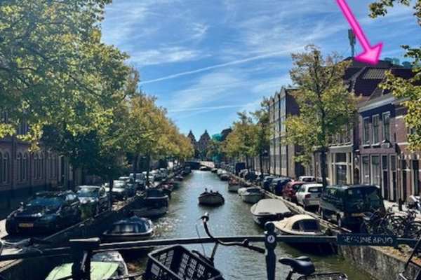 House sit in Haarlem, Netherlands