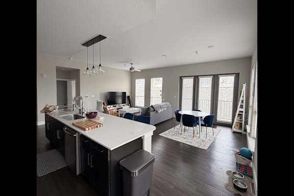 House sit in New Orleans, LA, US