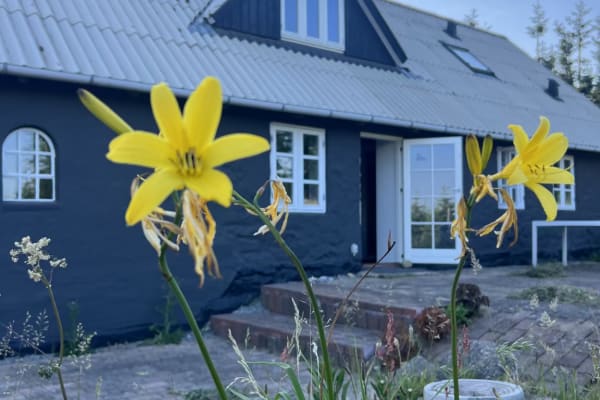 House sit in Brædstrup, Denmark