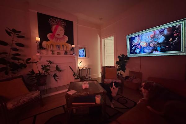 House sit in New Orleans, LA, US