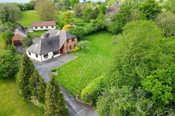 House sit in Welwyn, United Kingdom