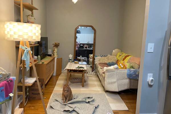 House sit in Brooklyn, NY, US