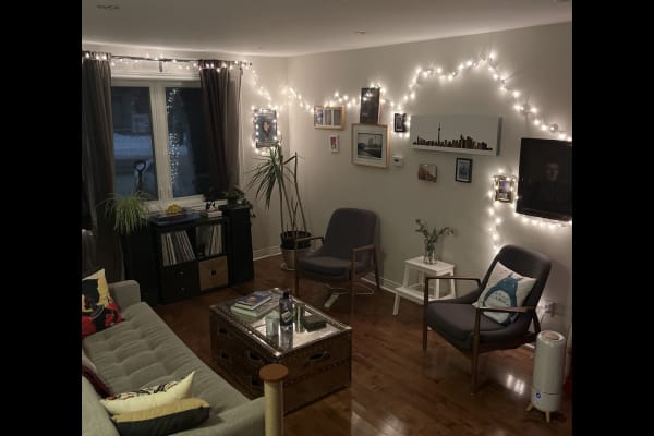 House sit in Toronto, ON, Canada