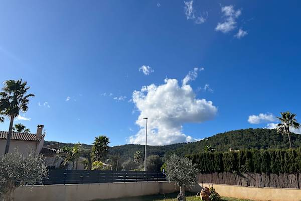 House sit in sa Pobla, Spain
