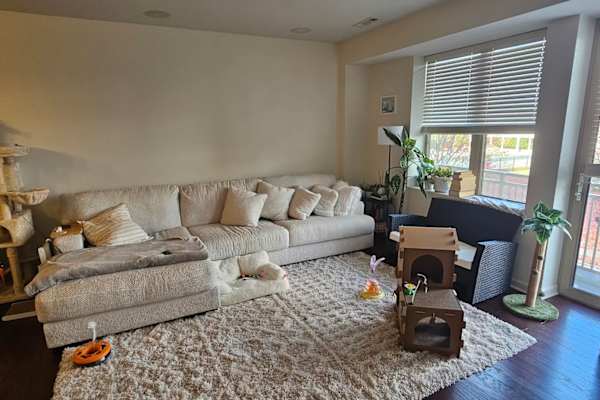 House sit in Boston, MA, US