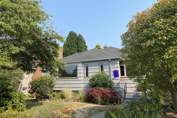 House sit in Victoria, BC, Canada