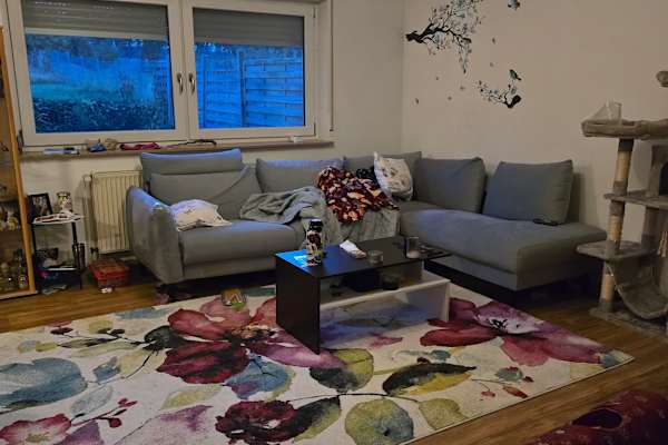 House sit in Bruchmühlbach-Miesau, Germany
