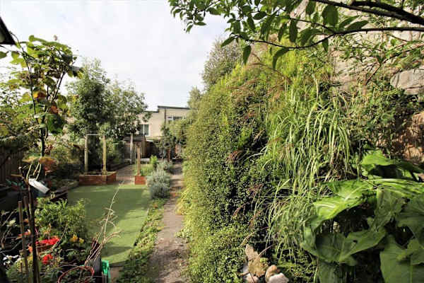 House sit in Bristol, United Kingdom