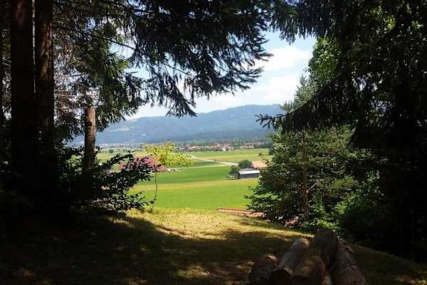 House sit in Rečica ob Savinji, Slovenia