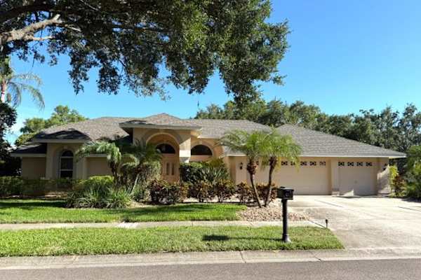 House sit in Tarpon Springs, FL, US