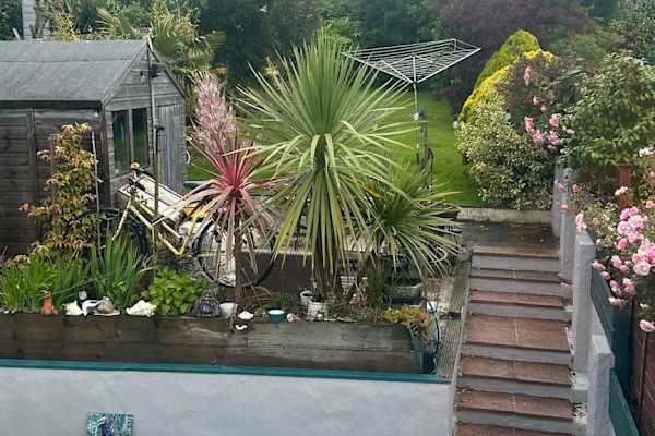 House sit in Falmouth, United Kingdom