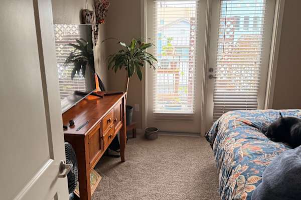 House sit in Petaluma, CA, US