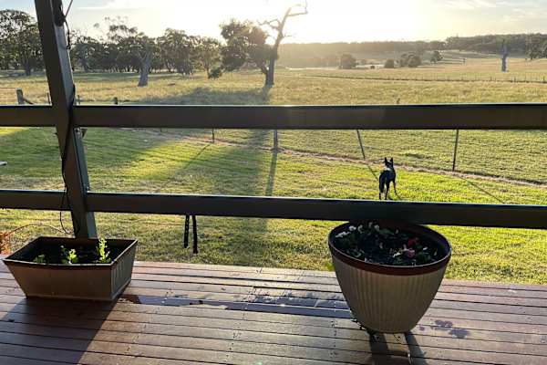 House sit in Ballarat, VIC, Australia