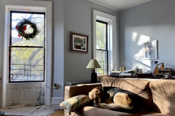 House sit in Brooklyn, NY, US