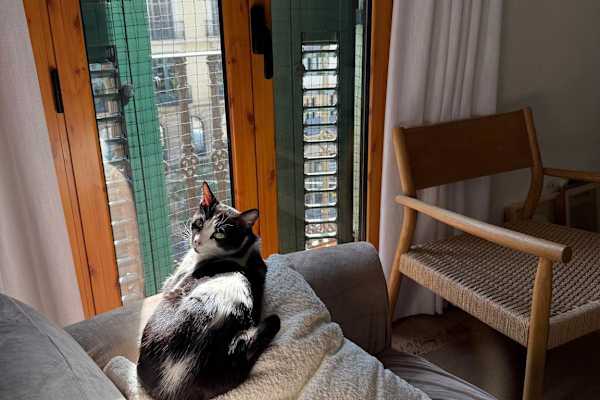House sit in Barcelona, Spain