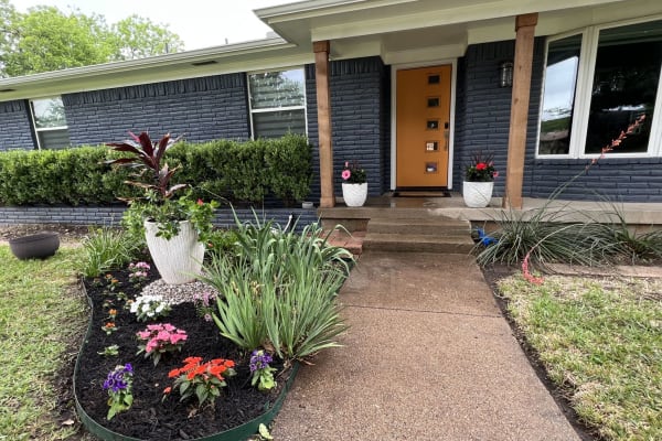 House sit in Dallas, TX, US
