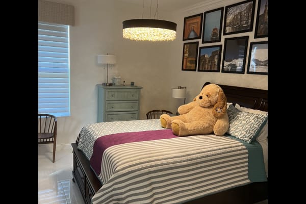 House sit in Orlando, FL, US