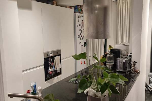 House sit in Twickenham, United Kingdom