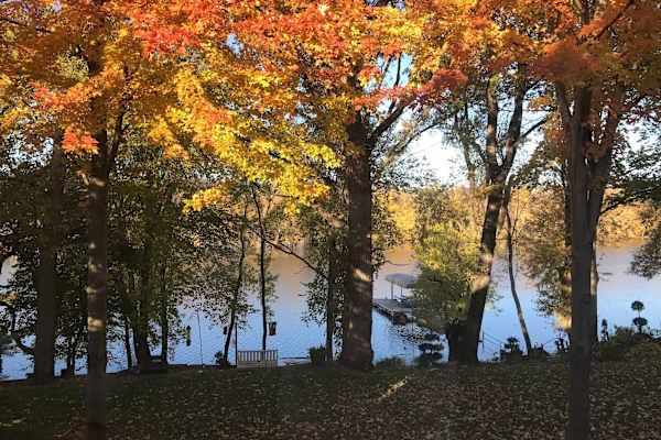 House sit in La Crosse, WI, US