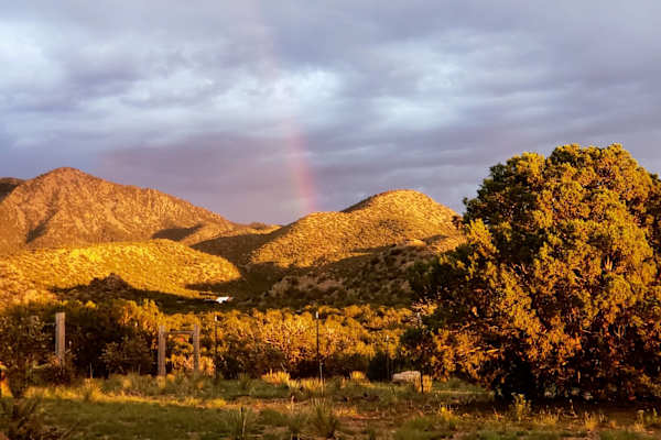 House sit in Madrid, NM, US