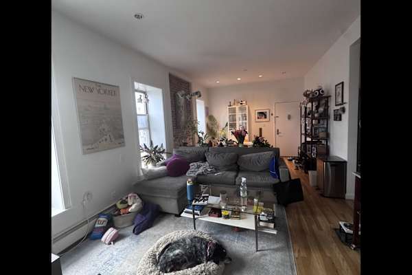 House sit in New York City, NY, US