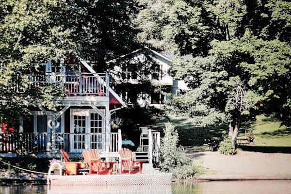 House sit in Huntsville, ON, Canada