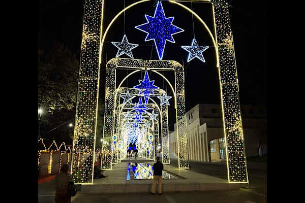 House sit in Porto, Portugal