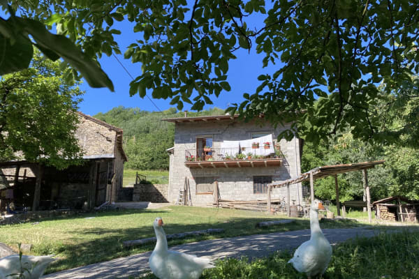 House sit in Castelnuovo di Garfagnana, Italy