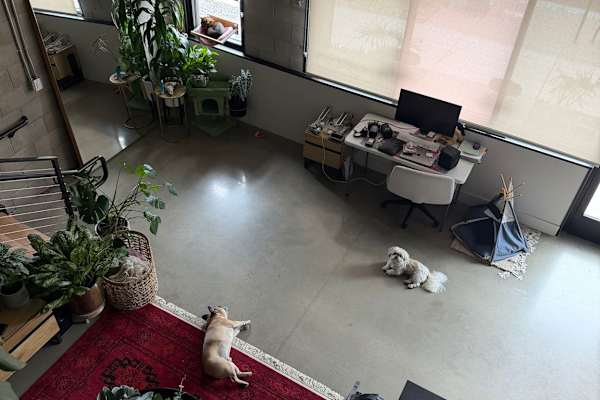 House sit in San Diego, CA, US