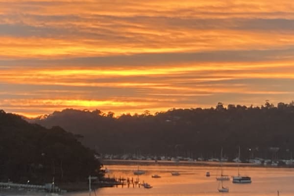 House sit in Mona Vale, NSW, Australia