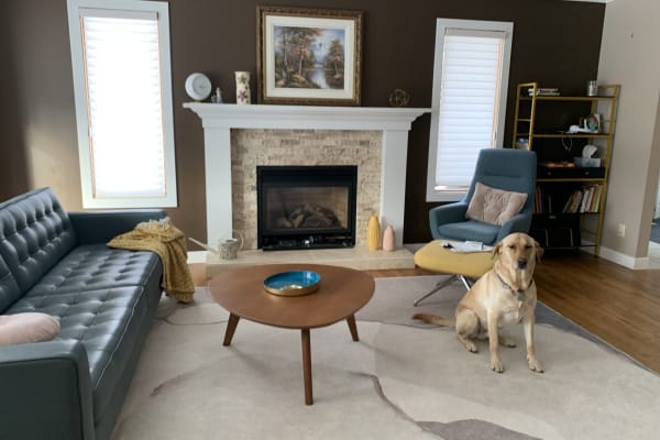 House sit in Calgary, AB, Canada