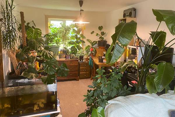 House sit in Balivanich, United Kingdom