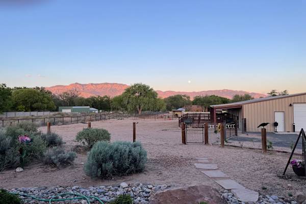 House sit in Corrales, NM, US