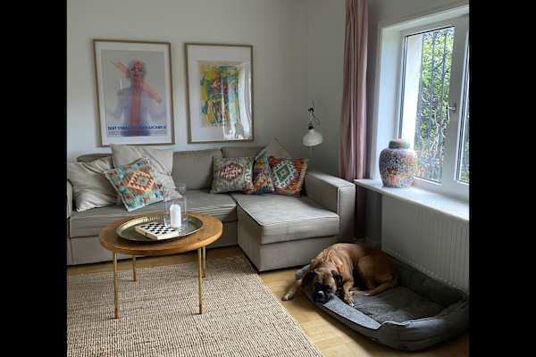 House sit in Lübeck, Germany