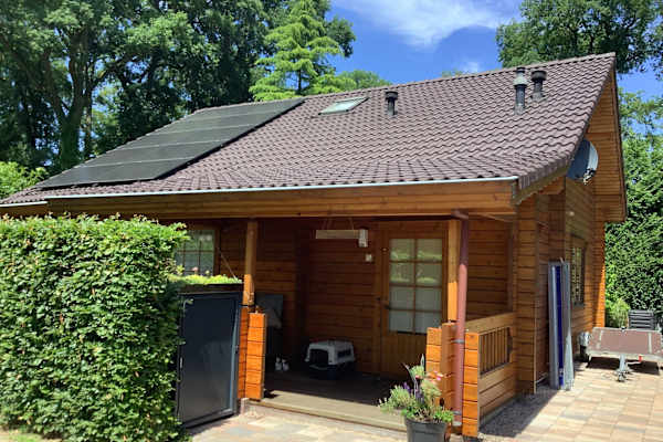 House sit in Winterswijk, Netherlands