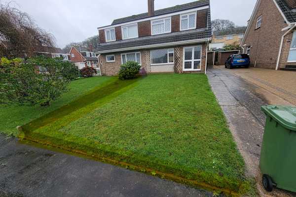 House sit in Plymouth, United Kingdom