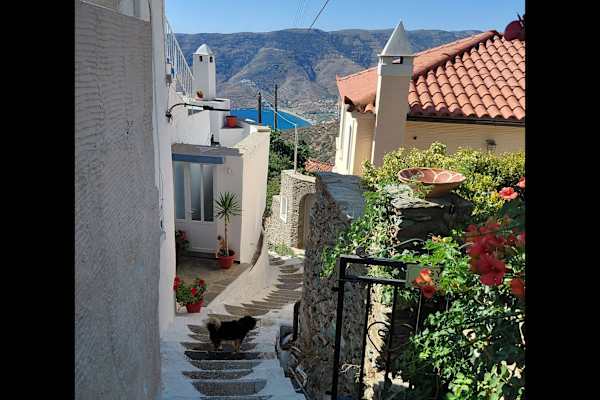 House sit in Órmos, Greece