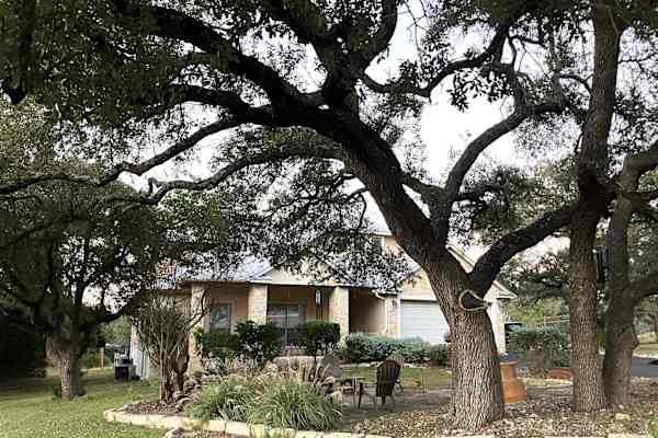 House sit in San Antonio, TX, US