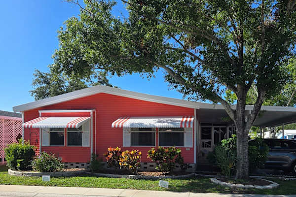 House sit in Clearwater, FL, US