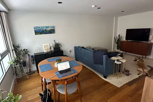 House sit in Brooklyn, NY, US