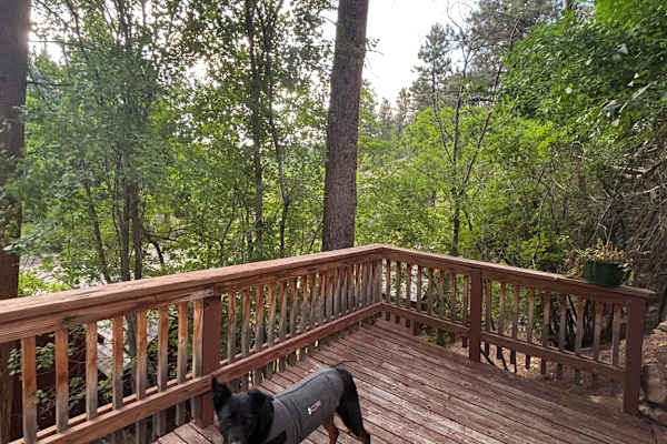 House sit in Morrison, CO, US