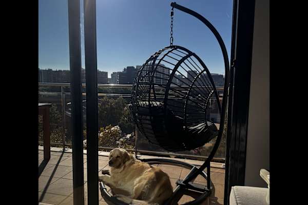 House sit in Barcelona, Spain
