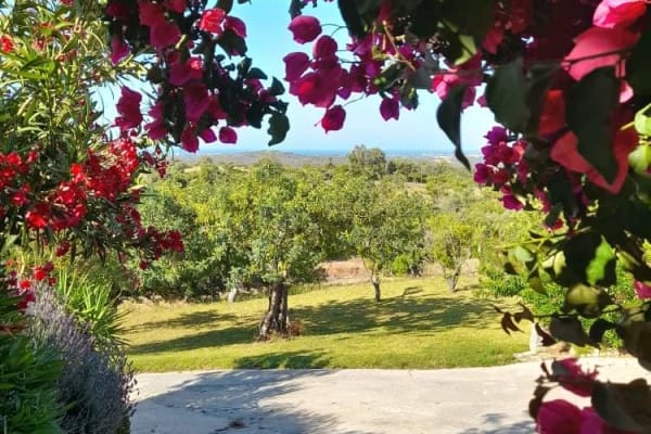 House sit in Loulé, Portugal