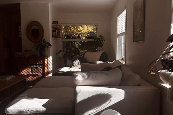 House sit in Victoria, BC, Canada