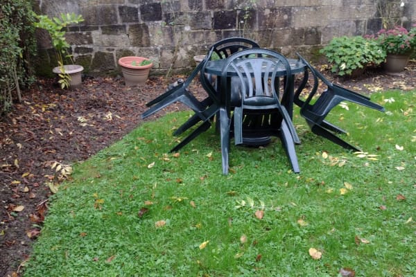 House sit in Glasgow, United Kingdom