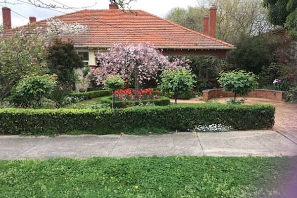 House sit in Melbourne, VIC, Australia