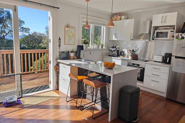 House sit in Wellington, New Zealand