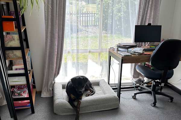 House sit in Hobart, TAS, Australia