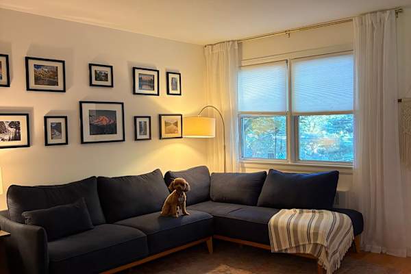 House sit in Irvington, NY, US